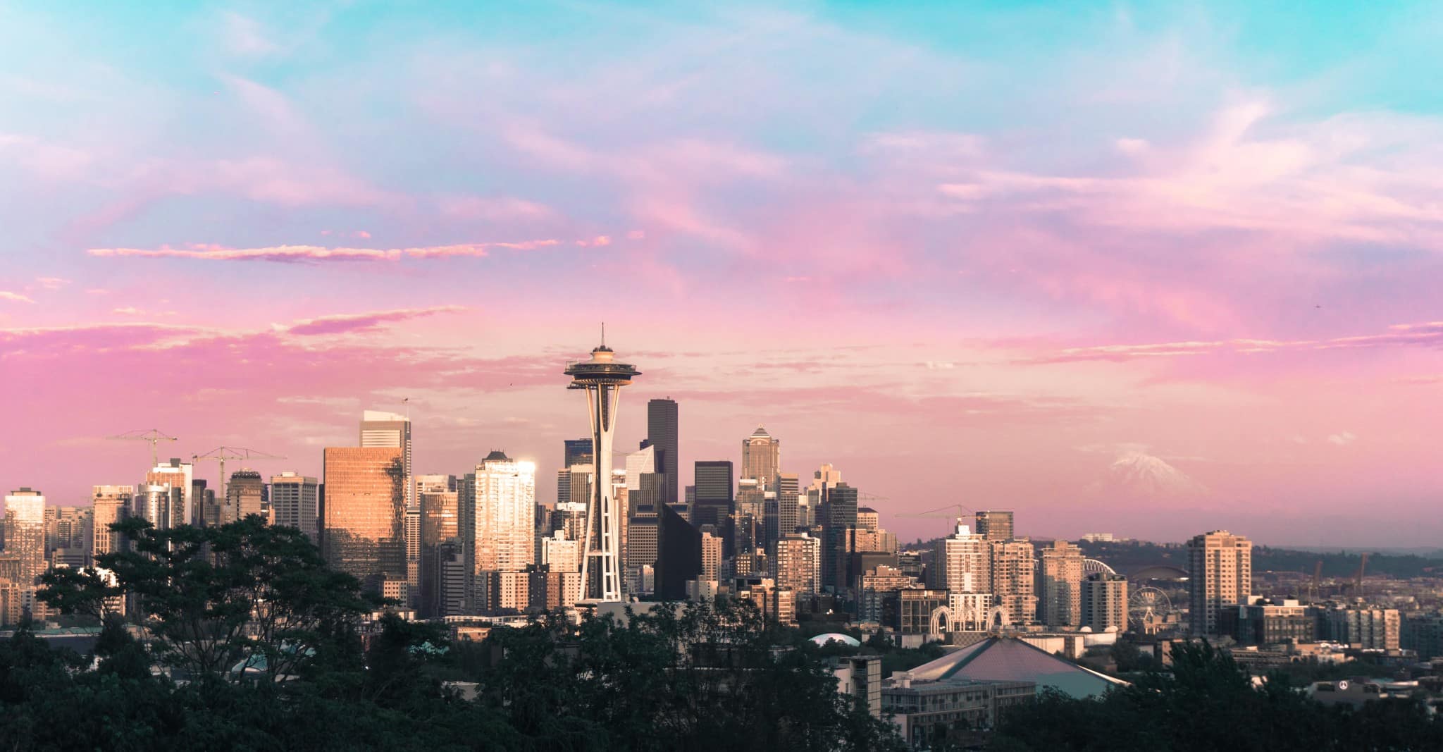 Seattle Software Developers | Seattle Startups Have an Edge Seattle Software Developers Part 4 | seattle startups