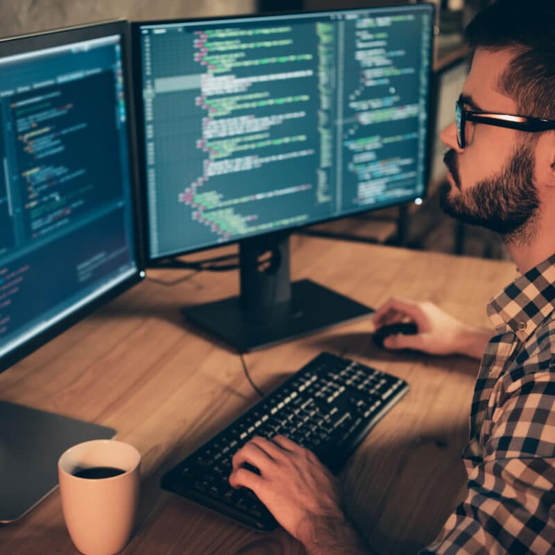 custom software development